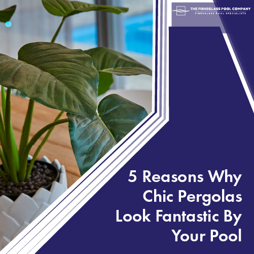 5 reasons why chic pergolas look fantastic by your pool featuredimage